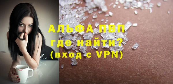 спиды Зеленокумск