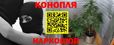 каннабис Канаш
