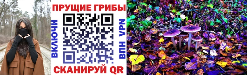 Псилоцибиновые грибы Cubensis  Купить где  Кушва 