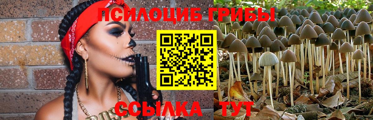 где найти   Псилоцибиновые грибы Psilocybe  Галлюциногенные грибы мицелий  Вход с VPN  Кушва 