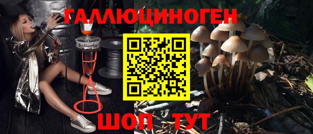 Галлюциногенные грибы Cubensis Кушва
