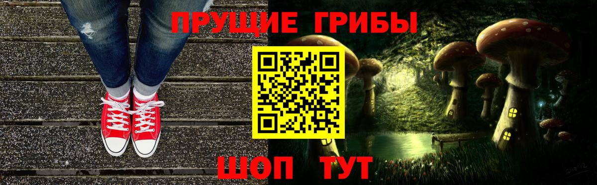 Псилоцибиновые грибы Psilocybine cubensis Кушва