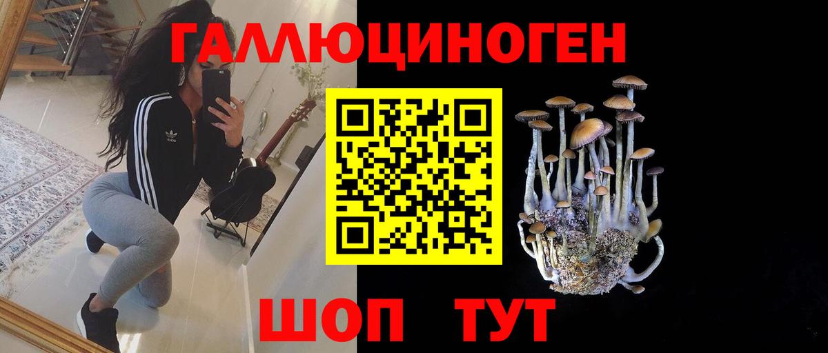 Галлюциногенные грибы Cubensis  Кушва 